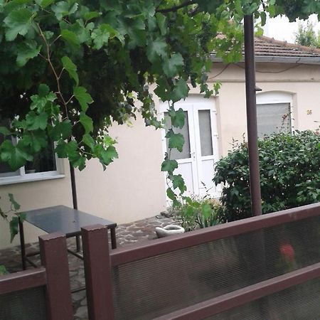 Pensiunea Casa Didina Bacău Exteriér fotografie