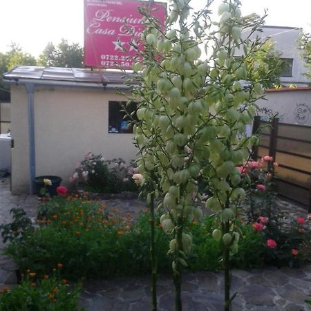 Pensiunea Casa Didina Bacău Exteriér fotografie