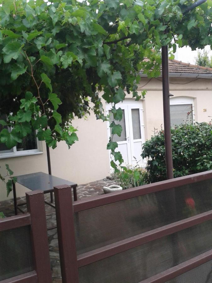 Pensiunea Casa Didina Bacău Exteriér fotografie