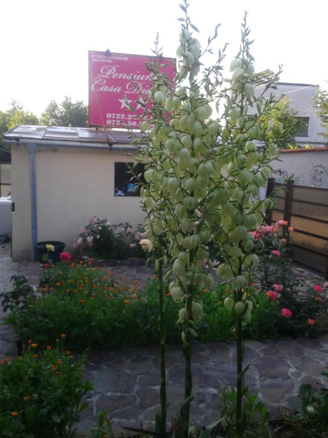 Pensiunea Casa Didina Bacău Exteriér fotografie