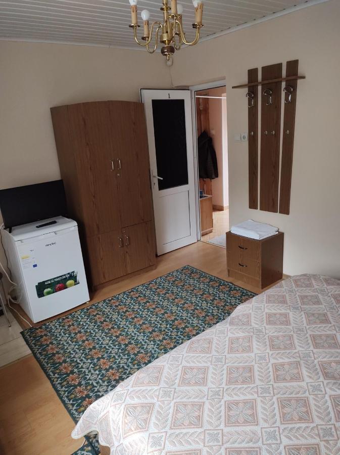 Pensiunea Casa Didina Bacău Exteriér fotografie